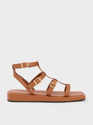 Σανδαλια Charles And Keith Buckled Gladiator καφε | 32478-MOKB