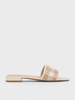 Σανδαλια Charles And Keith Woven Gingham Μπεζ | 60295-PWUG