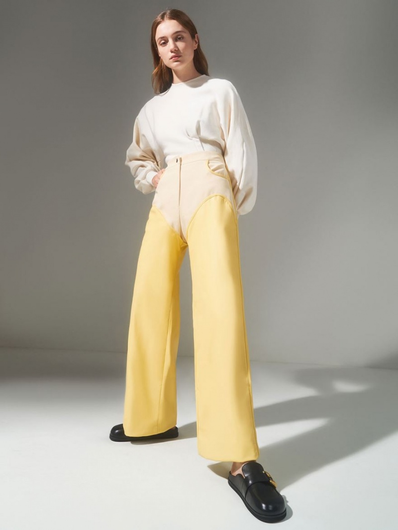 Mules Charles And Keith Gabine Buckled δερματινα Loafer​ μαυρα | 08235-EFDT