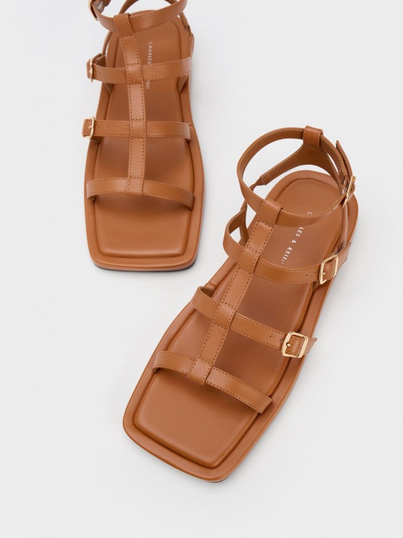 Σανδαλια Charles And Keith Buckled Gladiator καφε | 32478-MOKB